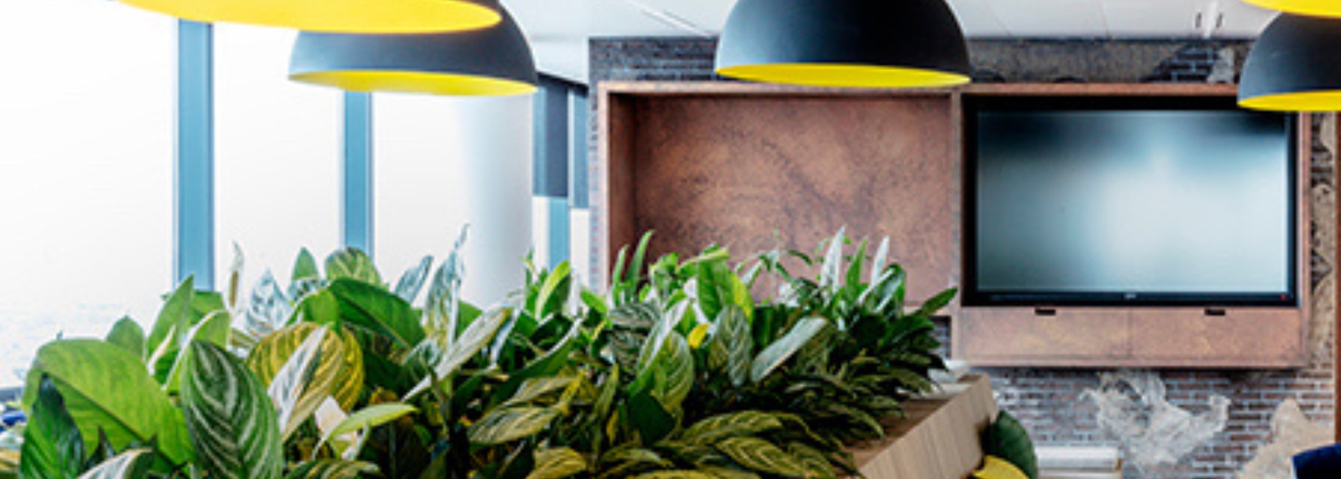 At RNHB, we're always looking for new talent